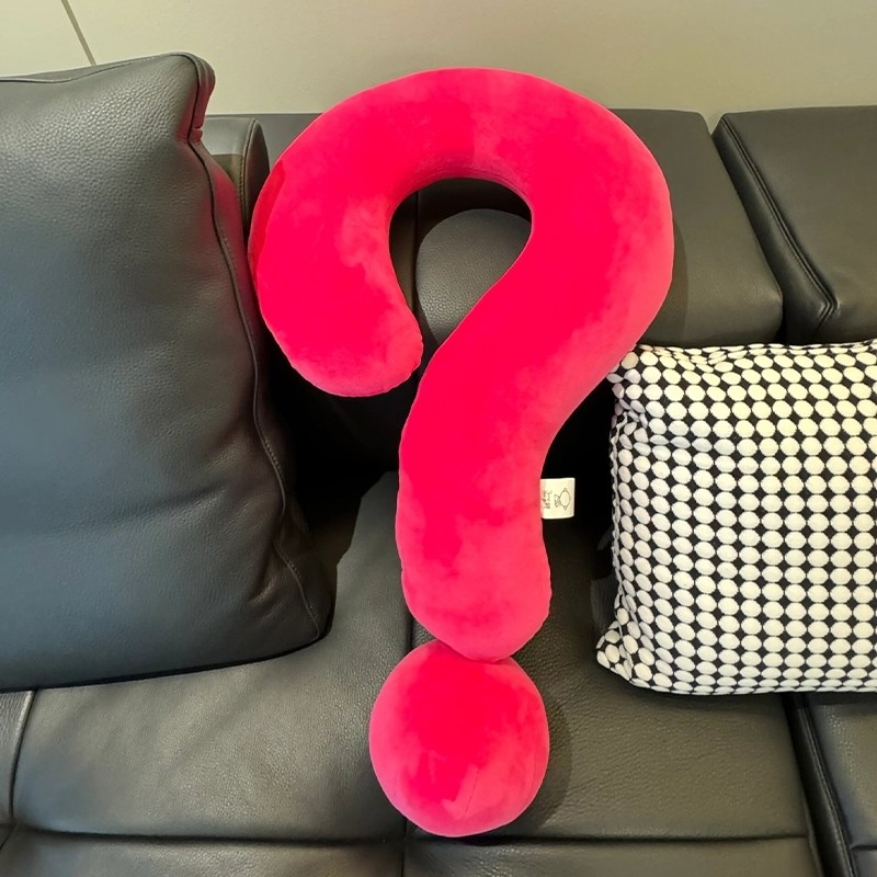 Home Office Questions - Large Question Mark Plu Ne Pillow