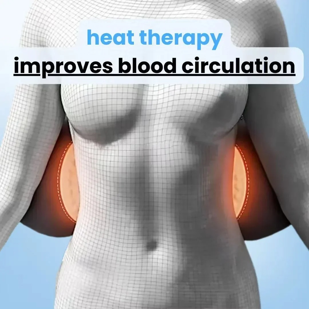 Back Pillow Heating Vibration  - Mesh Back Cushion ulasan dan harga